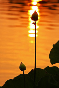 瑞典队在场上表现强大