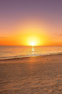 热刺黄金后卫纵横驰战，冲势无可阻挡