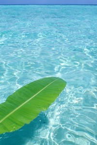 斯图加特球队展现出强大实力，已备战又一战