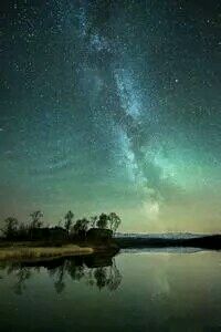 热刺黄金后卫纵横驰战，冲势无可阻挡