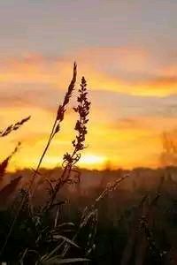 精彩回放令人陶醉长久难忘