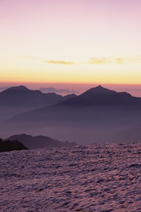 瑞典队在场上表现强大
