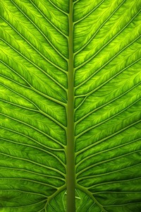 精彩回放令人陶醉长久难忘